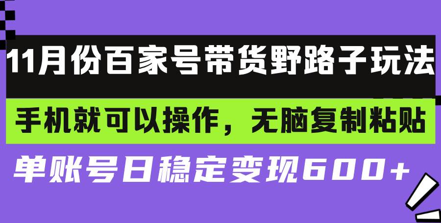 （13281期）百家号带货野路子玩法 手机就可以操作，无脑复制粘贴 单账号日稳定变现…-网创空间