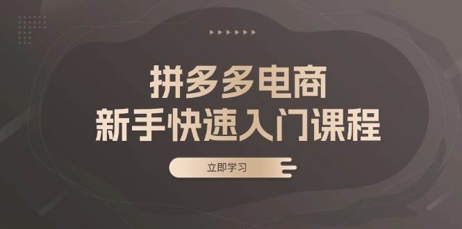 （13289期）拼多多电商新手快速入门课程：涵盖基础、实战与选款，助力小白轻松上手-网创空间