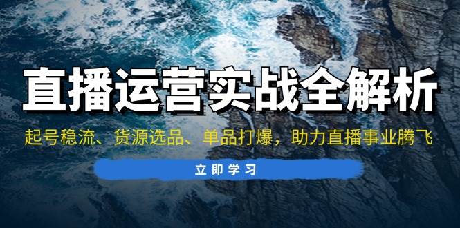 （13294期）直播运营实战全解析：起号稳流、货源选品、单品打爆，助力直播事业腾飞-网创空间