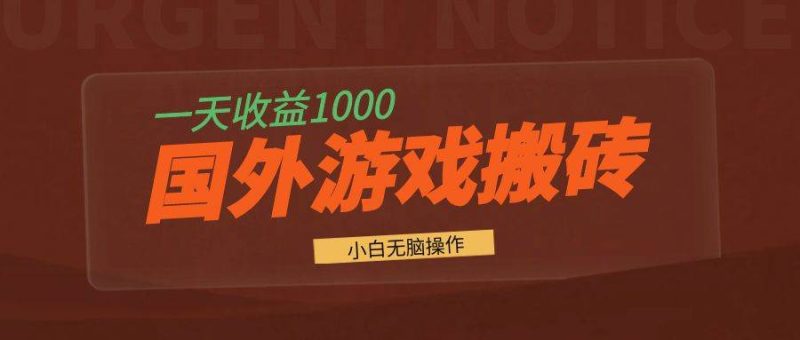 （13321期）国外游戏全自动搬砖，一天收益1000+ 小白无脑操作-网创空间