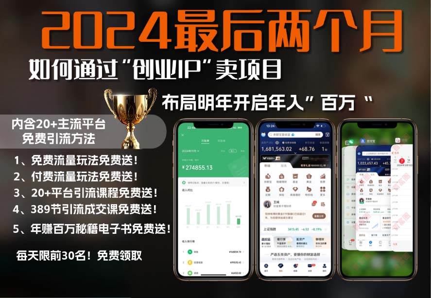 （13322期）2024最后两个月如何通过”创业IP“卖项目年入”百万“,创业IP+最强引流…-网创空间