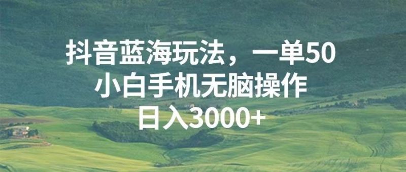(13353期)抖音蓝海玩法,一单50,小白手机无脑操作,日入3000+-网创空间
