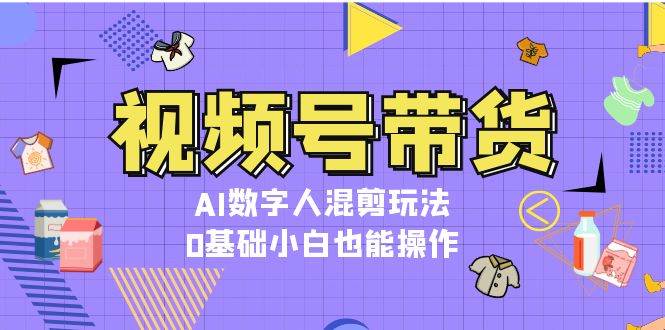 （13359期）视频号带货，AI数字人混剪玩法，0基础小白也能操作-网创空间