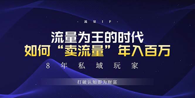 （13433期）未来如何通过“卖流量”年入百万，跨越一切周期绝对蓝海项目-网创空间