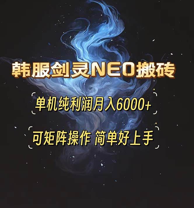 （13435期）韩服剑灵NEO搬砖攻略，单机纯利润月入6000+ 可矩阵操作，简单好上手。-网创空间