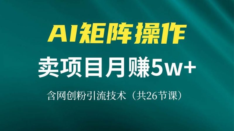 (13335期)网创IP打造课,借助AI卖项目月赚5万+,含引流技术(共26节课)-网创空间