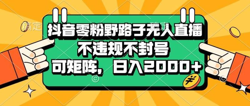 （13336期）抖音零粉野路子无人直播，不违规不封号，可矩阵，日入2000+-网创空间