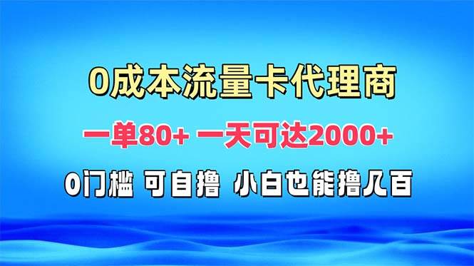 （13391期）免费流量卡代理一单80+ 一天可达2000+-网创空间