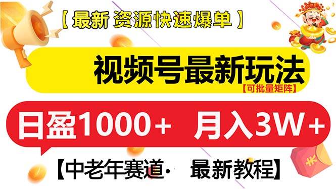 （13530期）视频号最新玩法 中老年赛道 月入3W+-网创空间