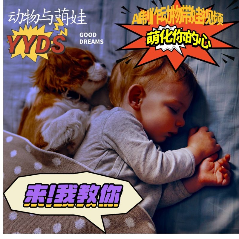AI制作动物与萌娃互动视频，瞬间萌化你的心，粉丝大米一起收货！-网创空间