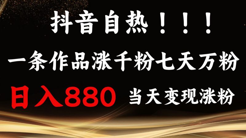 抖音小红书自热，一条作品1000粉，7天万粉，单日变现880收益-网创空间