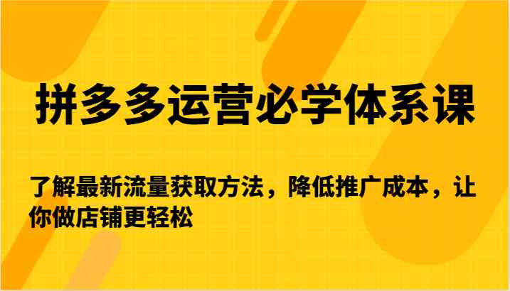 拼多多运营必学体系课-了解最新流量获取方法，降低推广成本，让你做店铺更轻松-网创空间