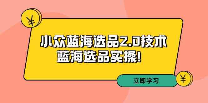 拼多多培训第33期：小众蓝海选品2.0技术-蓝海选品实操-网创空间