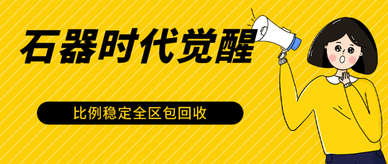 石器时代觉醒全自动游戏搬砖项目，2024年最稳挂机项目0封号一台电脑10-20开利润500+-网创空间