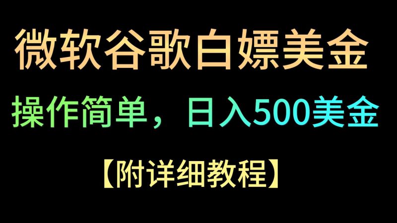 微软谷歌项目3.0,轻松日赚500+美金,操作简单,小白也可轻松入手!-网创空间