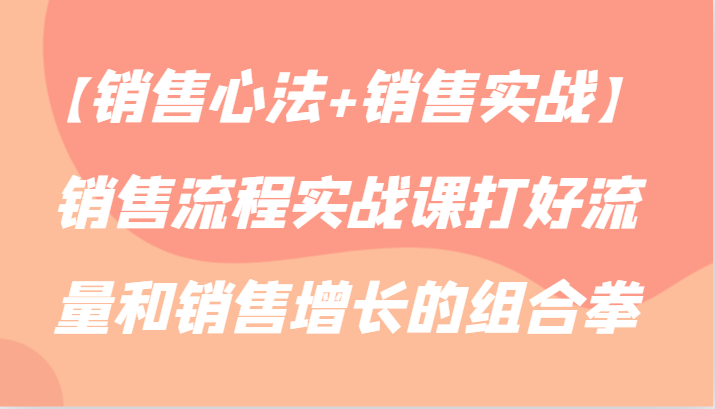 【销售心法+销售实战】销售流程实战课打好流量和销售增长的组合拳-网创空间
