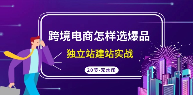 跨境电商怎样选爆品，独立站建站实战（20节高清课）-网创空间