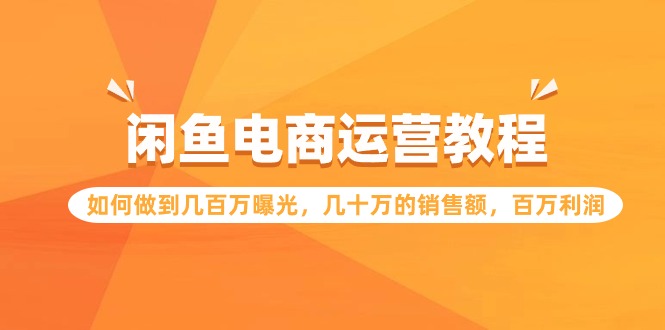 闲鱼电商运营教程：如何做到几百万曝光，几十万的销售额，百万利润-网创空间