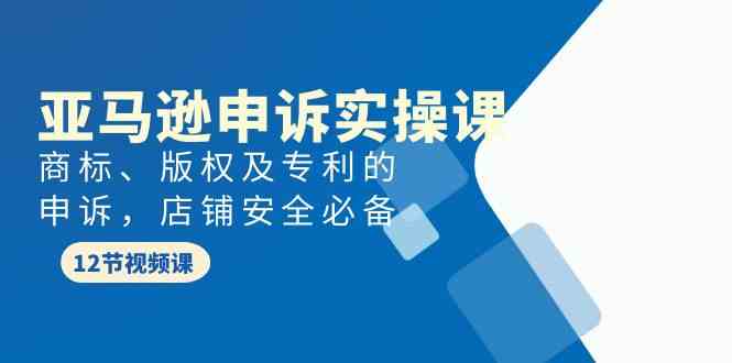 亚马逊申诉实战课，商标、版权及专利的申诉，店铺安全必备-网创空间