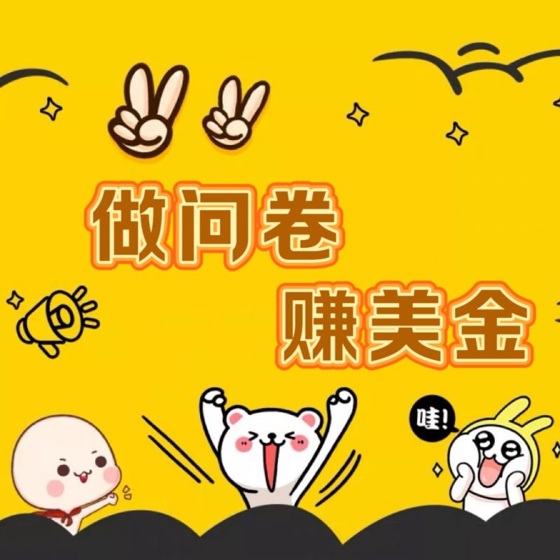 国外问卷调查小白家也可批量操作（口子查站点查渠道查）真正的长久稳定项目 日入1500+-网创空间