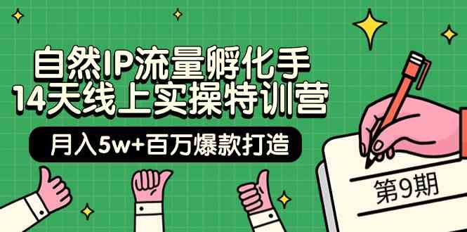 自然IP流量孵化手14天线上实操特训营【第9期】月入5w+百万爆款打造 (74节)-网创空间