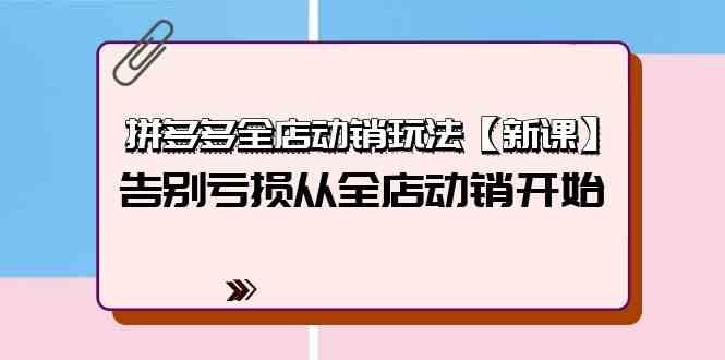 拼多多全店动销玩法【新课】，告别亏损从全店动销开始（4节视频课）-网创空间