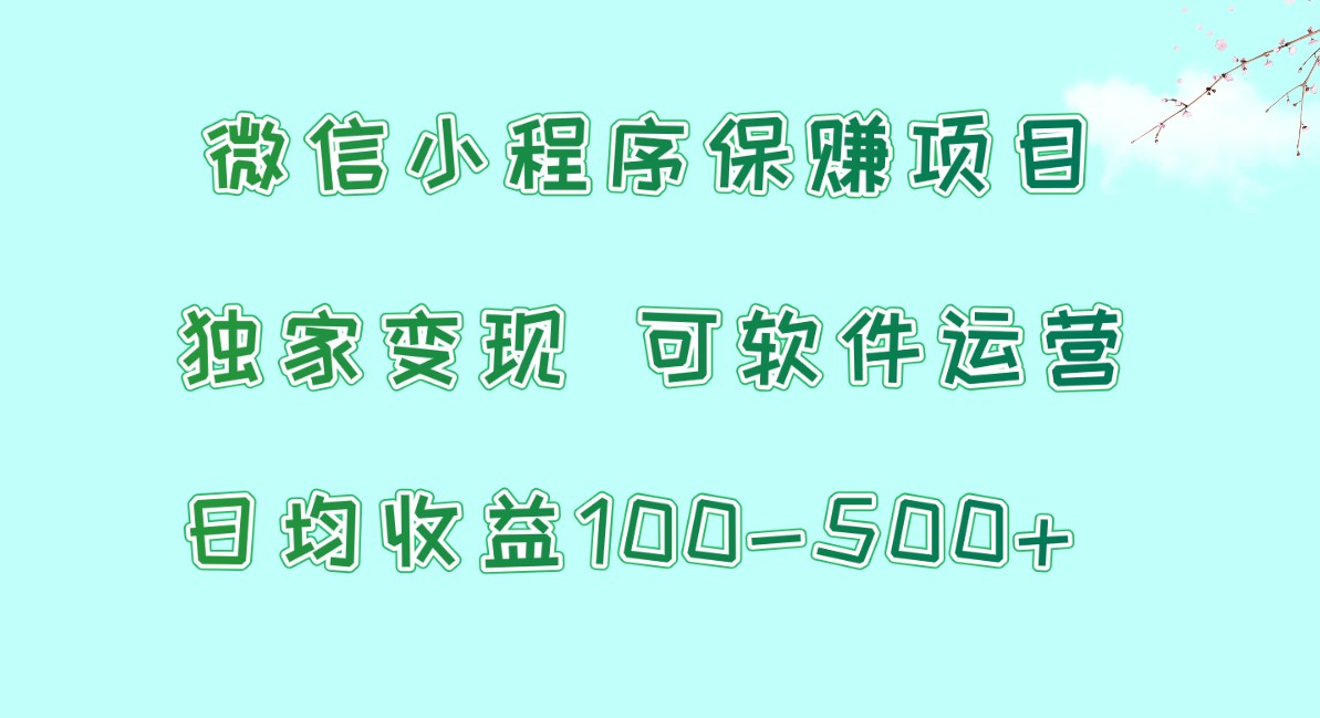微信小程序保赚项目，日均收益100~500+，独家变现，可软件运营-网创空间