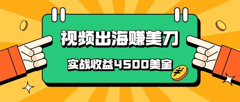 国内爆款视频出海赚美刀，实战收益4500美金，批量无脑搬运，无需经验直接上手-网创空间