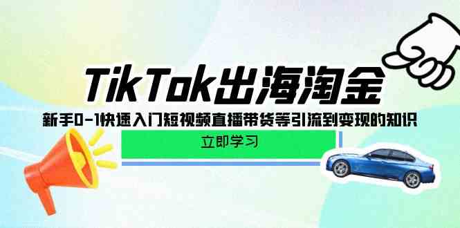 TikTok出海淘金，新手0-1快速入门短视频直播带货等引流到变现的知识-网创空间