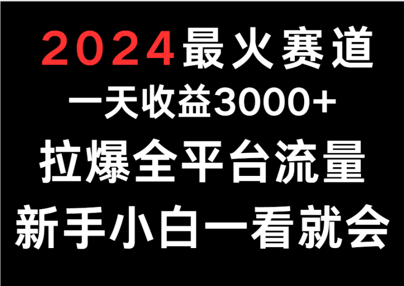 2024最火赛道，一天收一3000+.拉爆全平台流量，新手小白一看就会-网创空间