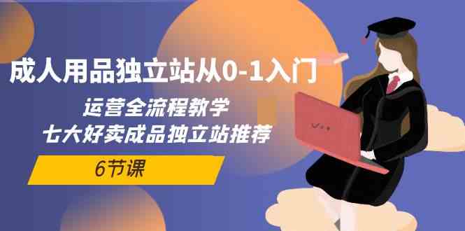 成人用品独立站从0-1入门，运营全流程教学，七大好卖成品独立站推荐（6节课）-网创空间