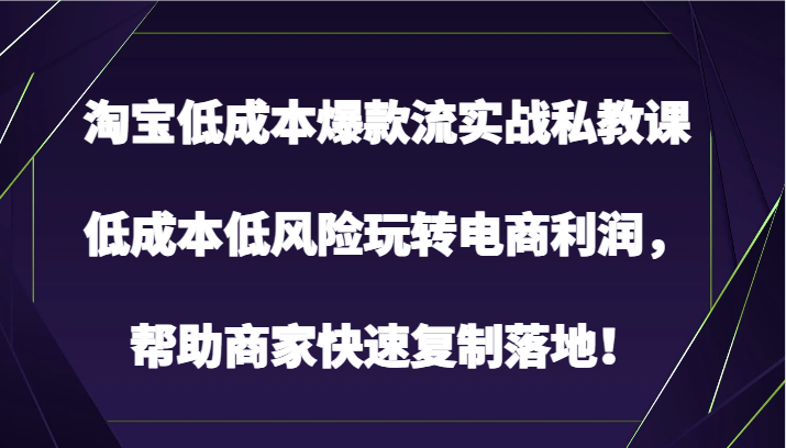 淘宝低成本爆款流实战私教课，低成本低风险玩转电商利润，帮助商家快速复制落地！-网创空间