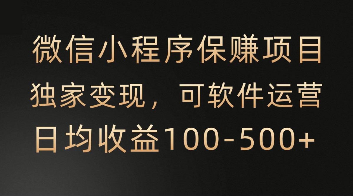 微信小程序，腾讯保赚项目，可软件自动运营，日均100-500+收益有保障-网创空间