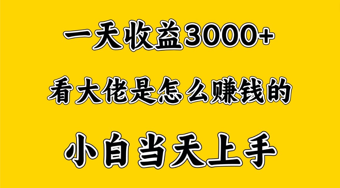 一天赚3000多，大佬是这样赚到钱的，小白当天上手，穷人翻身项目-网创空间