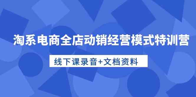 淘系电商全店动销经营模式特训营，线下课录音+文档资料-网创空间