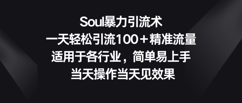 Soul暴力引流术,一天轻松引流100+精准流量,适用于各行业,简单易上手!-网创空间