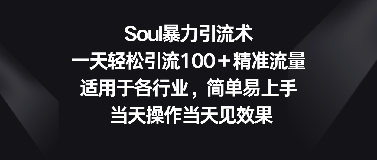 Soul暴力引流术，一天轻松引流100＋精准流量，适用于各行业，简单易上手！-网创空间