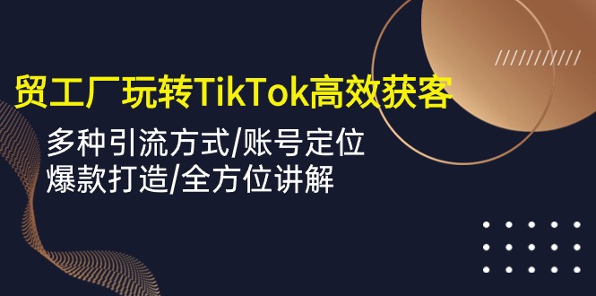 外贸工厂玩转TikTok高效获客，多种引流方式/账号定位/爆款打造/全方位讲解-网创空间