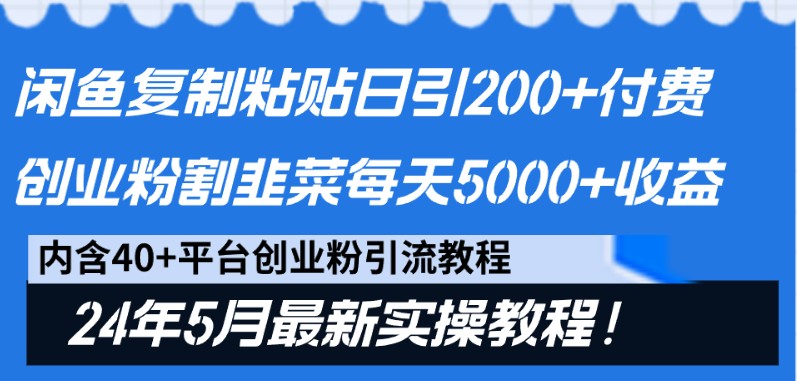 闲鱼复制粘贴日引200+付费创业粉，24年5月最新方法！割韭菜日稳定5000+收益-网创空间