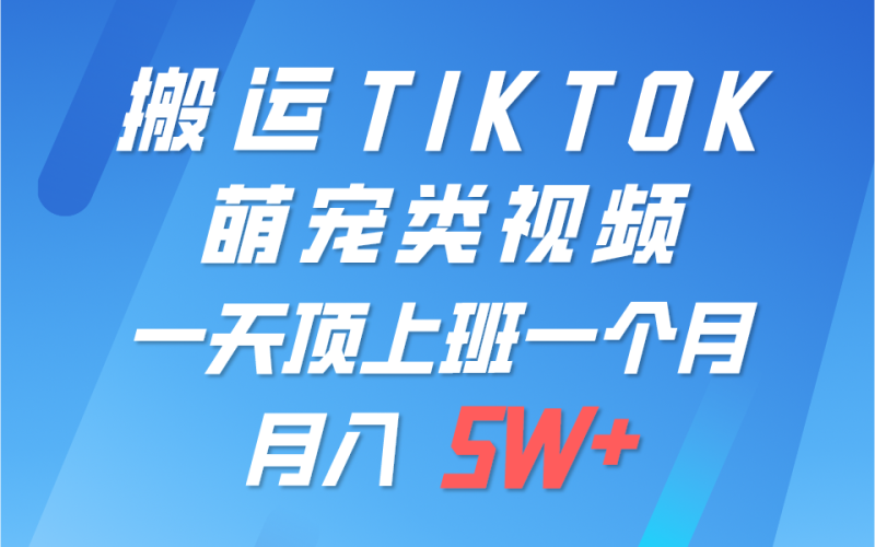 一键搬运TIKTOK萌宠类视频，一部手机即可操作，所有平台均可发布 轻松月入5W+-网创空间