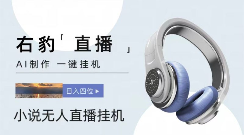 右豹小说无人直播挂机吸金项目，简单易行收益稳定， 月入1000+-网创空间