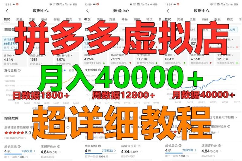 拼多多虚拟电商训练营月入40000+，全网最详细，你做你也行，暴利稳定长久-网创空间