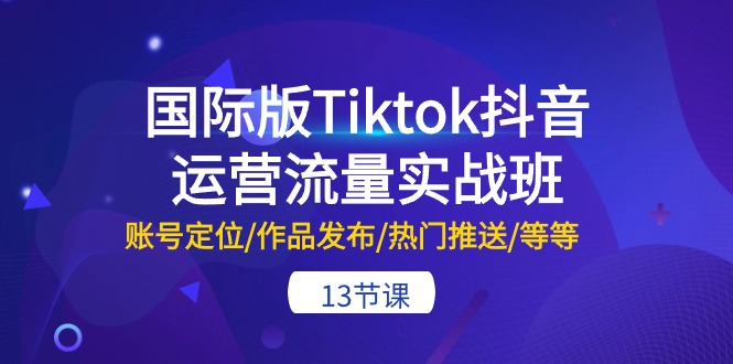 国际版Tiktok抖音运营流量实战班：账号定位/作品发布/热门推送/等等（13节）-网创空间