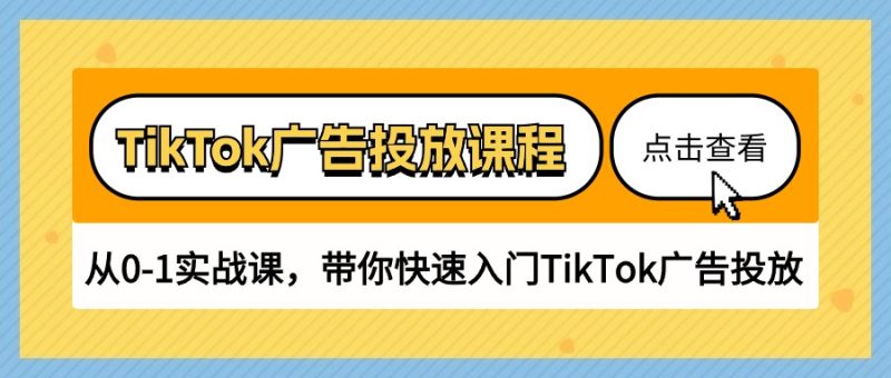 TikTok广告投放课程，从0-1实战课，带你快速入门TikTok广告投放（30节课）-网创空间