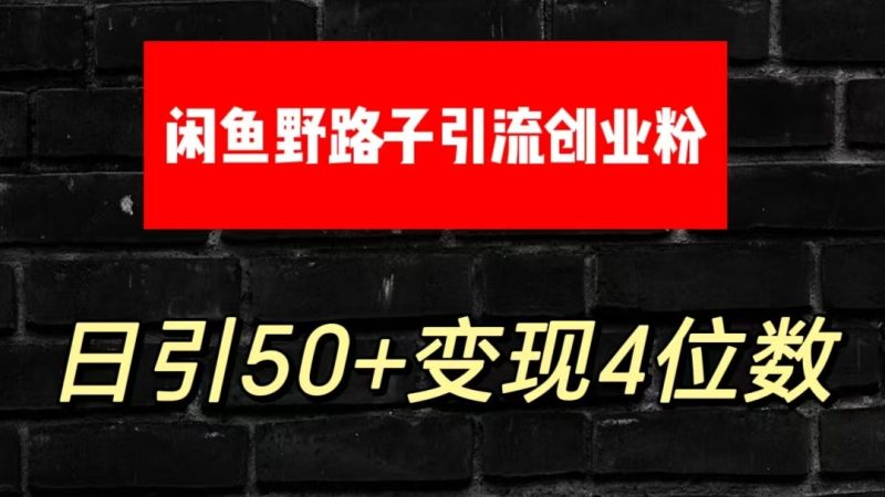 大眼闲鱼野路子引流创业粉，日引50+单日变现四位数-网创空间