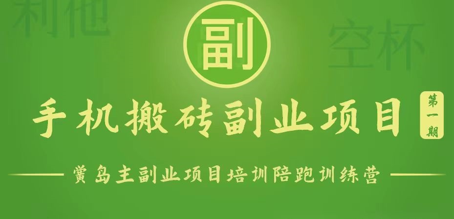 手机搬砖小副业项目训练营1.0，能用手机做的简单小副业-网创空间