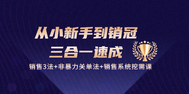 从小新手到销冠三合一速成：销售3法+非暴力关单法+销售系统挖需课 (27节)-网创空间