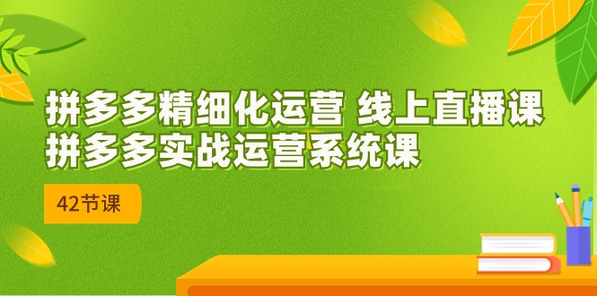 拼多多精细化运营 线上直播课：拼多多实战运营系统课（更新47节）-网创空间