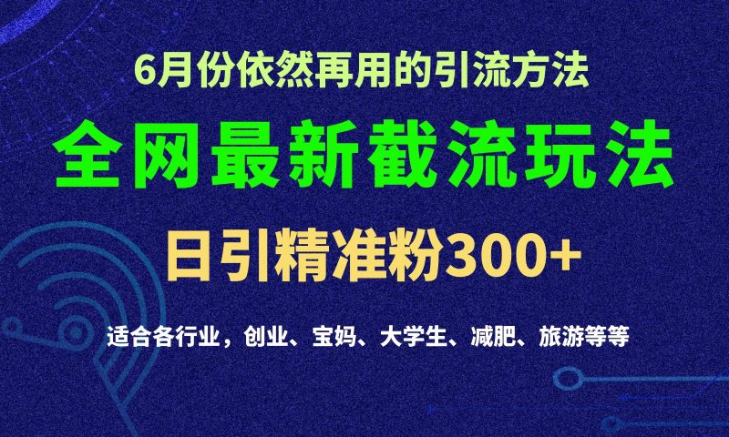 2024全网最新截留玩法，每日引流突破300+-网创空间