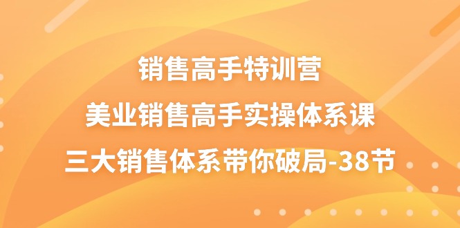 销售高手特训营，美业销售高手实操体系课，三大销售体系带你破局（38节）-网创空间